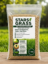 Stars Grass 6'lı Karışım Çim Tohumu - 1 Kg